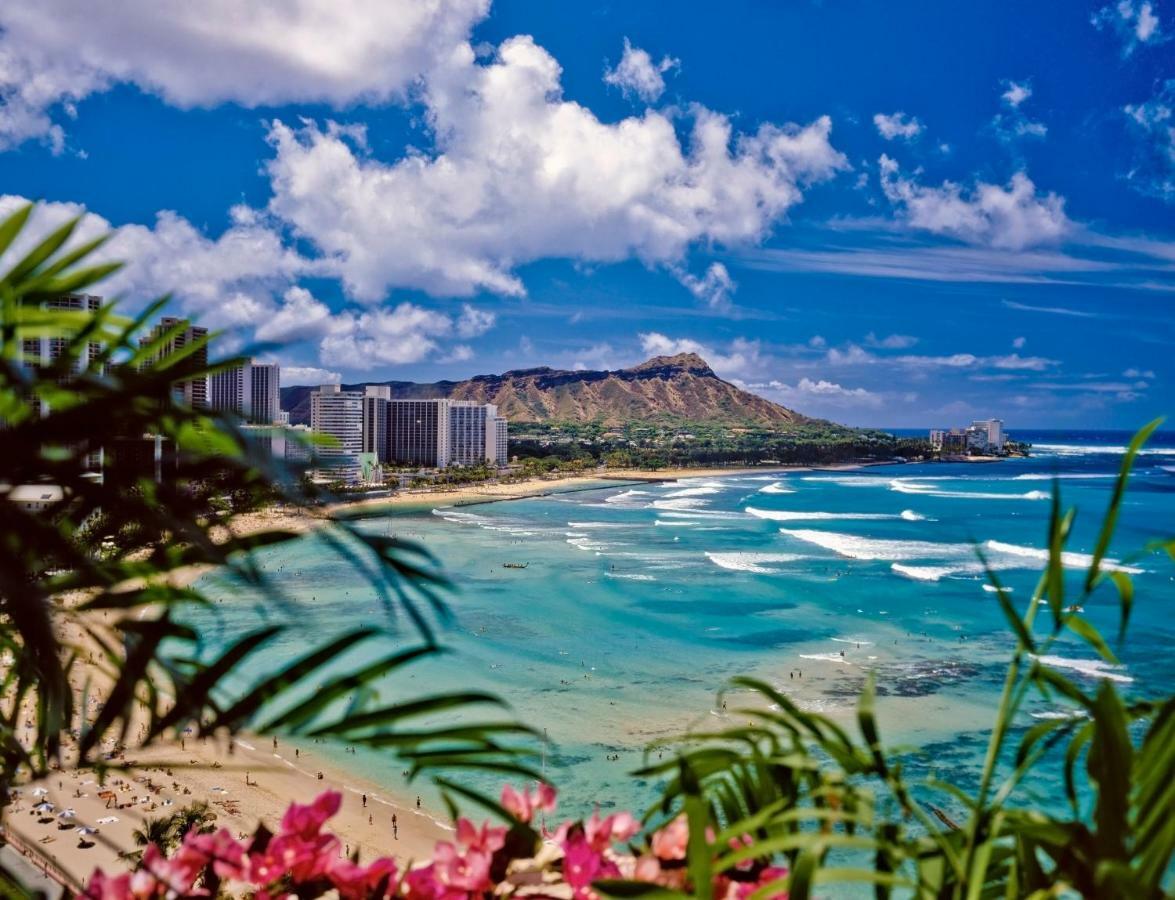 Beautiful Ocean And Diamond Head Views With Parking Lejlighed Honolulu Eksteriør billede
